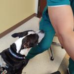 I love to meet new people