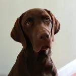 Men Goes registration