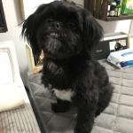 Aggie Marie Theriault