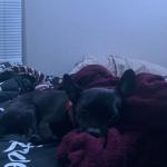 Onyx is people friendly