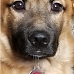 MIA DIOR COOPER (ESD)