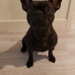 Penny's Head Shot