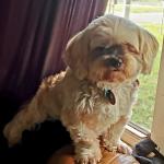 protective instincts