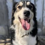 ♥️♥️? F.O.R.E.V.E.R? ♥️♥️