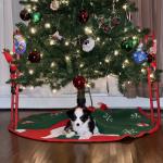 Millie’s First Christmas