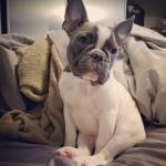 Roman waiting to cuddle