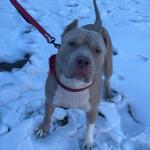 First time with snow