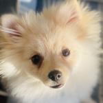 Wonderful Leo my bbf