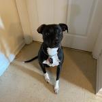 Myla Week one Training