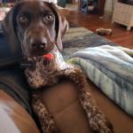 Our Miss Allie