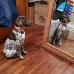 Looking at my reflection