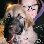 Blaze going for a walk in the snow with mum