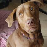 2021 New Year pictures