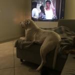 Hanging out with family