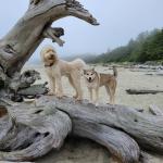 Buddy and his best friend Autumn