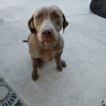 Luna Clinkscales