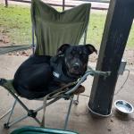 Typical Park Behavior