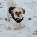 Having fun in the snow