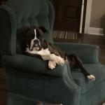 King Joseph always on guard