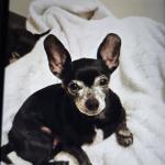 My baby grown to adult