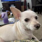 She is watching me all the time!