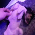 My Angel gift who I intend on making the best time ever for whatever time the good Lord gives us to share each other's company.