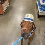 Moglee our best friend