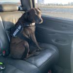 Good girl Maggie Mae