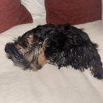 Luna the sleeping princess