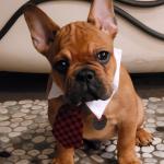 Edmond is ready for the office