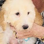 Champagne 01/12/2022