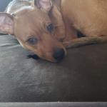 Tink's picture