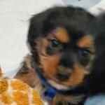 Little fellow feeling good