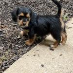 That's my funny little happy guy