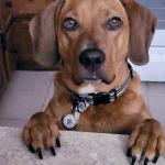 Let's sit down before you fall.