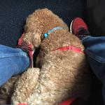 First air trip - at feet