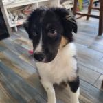 Taël at 4 months old