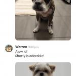 Shortee is the best