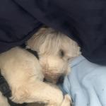 Deeeep in sleep
