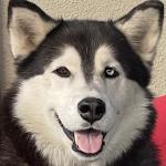 Kira with her huge smile!