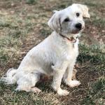 Cooper Profile Picture