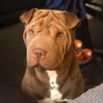 Lucy Elliott 1 year