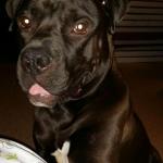 Jax Pitts the hansom guy!