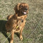 Sooo beautiful living my life and loving it!