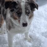 Ella Fergusons first winter