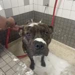 Bath Time With Mommy