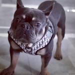Photo of Hermes