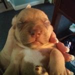 willows baby pics and others