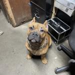 My best bud Thor
