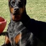 PhotoMissBiscuitBeth